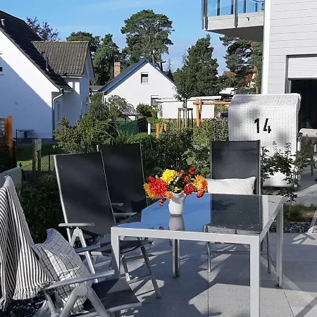 Steinreich * גלווה